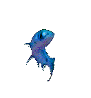 Blue Swimming Goldfish (logo)
